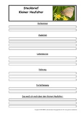 Kleiner-Heufalter-Steckbriefvorlage.pdf